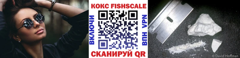 Cocaine Fish Scale  Купить закладки  Кирс 