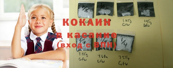 бошки Новозыбков