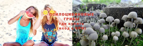 бошки Новозыбков