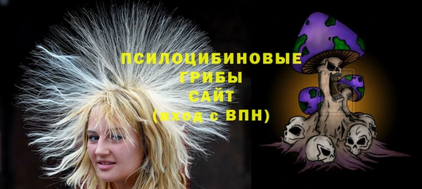 бошки Новозыбков