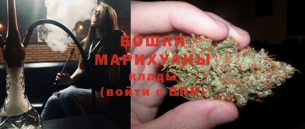 бошки Новозыбков