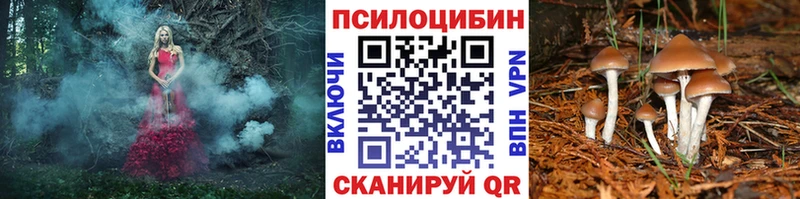 Купить  Кирс  Галлюциногенные грибы Magic Shrooms 
